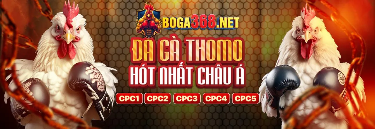 Đặc Quyền VIP thabet tha casino